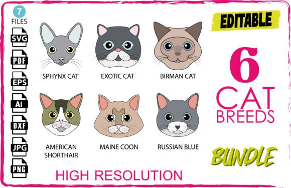 6 Cat Breeds - Bundle Review